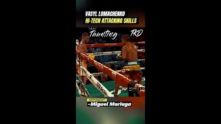 Taunting then Knock Out - Vasyl Lomachenko vs Miguel Mariaga Boxing Highlights