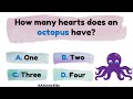 Quiz time  gk trivia for kids  general knowledge question and answer for kids