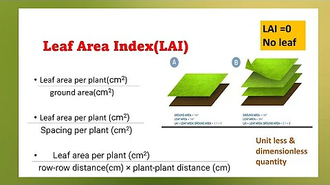 Leaf Area Index(LAI)