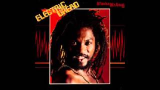 Video thumbnail of "Winston McAnuff   Electric dread   09   Irie lion"