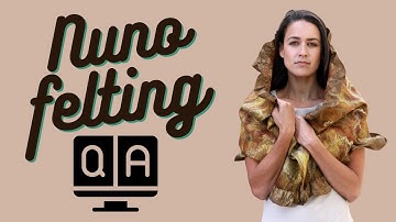 Nuno Felt Q&A session