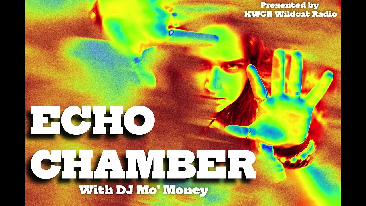 The Echo Chamber with DJ Mo' Money - Episode 2: Local Shows vs. Concerts