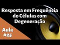 Resposta em Frequência do Fonte Comum com Degeneração