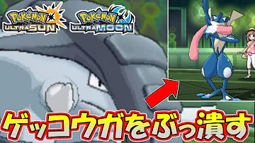 ポケモンusumゲッコウガ ポケモンusumゲッコウガ