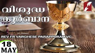 HOLY MASS LIVE @ 6 AM,18-MAY-2026|FR VARGHESE PARAPPURAM VC|MALAYALAM QURBANA|TODAY MASS|GOODNESS TV screenshot 5