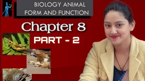 Class 6th, science, animals: forms and function,(part-1),by rinki mam.. Must watch
