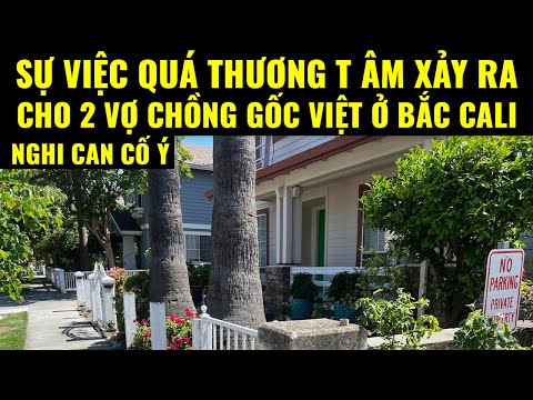 Video: IPhone đã cách mạng hóa cuộc sống bác sĩ thú y của tôi như thế nào