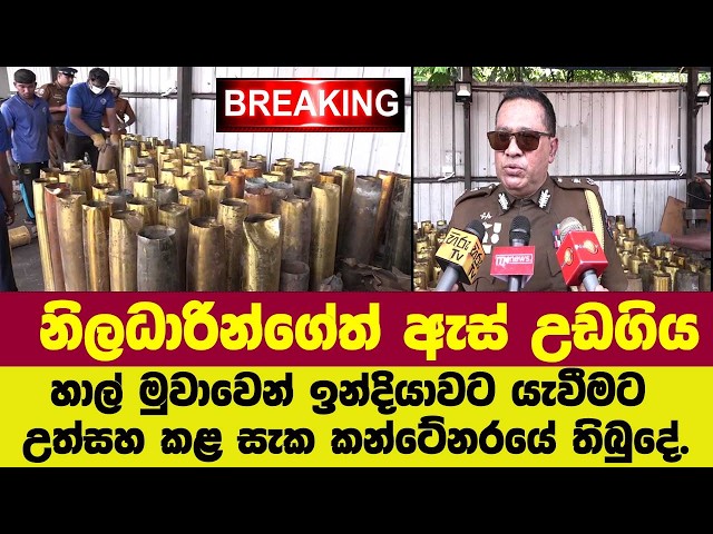 🚨නිලධාරින්ගේත් ඇස් උඩයයි!! හාල් මුවාවෙන් ඉන්දියාවට යැවීමට උත්සහ කළ සැක කන්ටේනරයේ තිබුදේ.