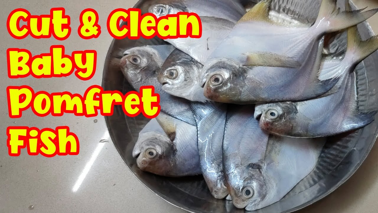 Cut and Clean Baby Pomfret Fish How to Cut and Clean Small Pomfret