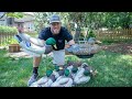 Lifetime Decoys FlexFloat Mallard Unboxing