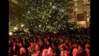 Celebrity Christmas Tree Bomb Plot Foiled Net Worth