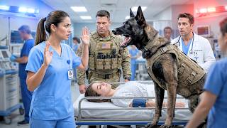 Information The K9 Guarded the Colonel’s Daughter From Everyone — Until the Nurse Used a Classified Command News