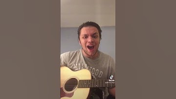 Stay Together For The Kids - Blink-182 (cover by Anthony J. Daley) #shorts #blink182