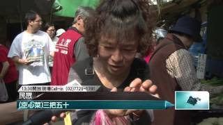 20160405壹起來翻轉》P2高麗菜1斤飆至50元！　農委會主委陳志清狀況外？