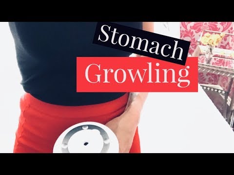ASMR Stomach Growling Sounds | None Stop EXTREME Stomach Noise & Sounds