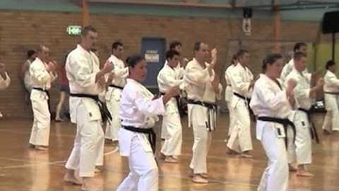 Karate Basics- Blocks, Strikes, Kicks, & Stances at Black Belt Grading