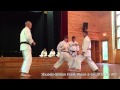 Heian Yondan Bunkai IKD Traditional Shuseki Shihan Frank Woon A Tai 9th Dan IKD mp3