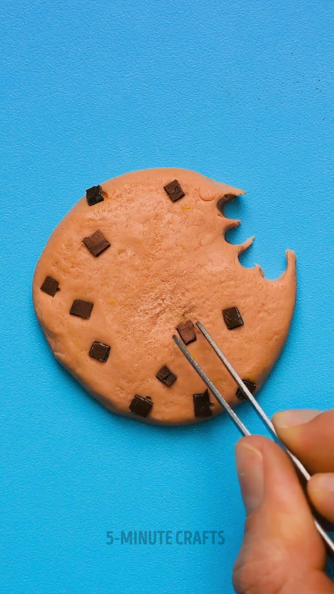 DIY Mini Chocolate Chip Cookie ?