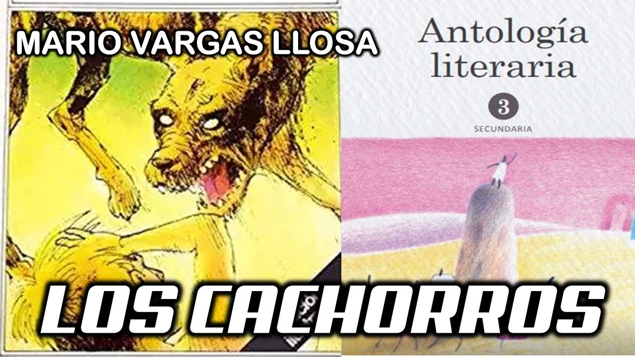 LOS CACHORROS DE MARIO VARGAS LLOSA |Antología Literaria 3º tercero
