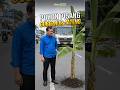 Pohon Pisang Gubernur Jateng