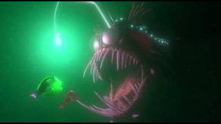 Finding Nemo - Anglerfish 😱 | Sponsored by Gamavision Csupo Effects