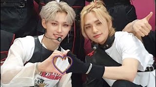 İnsanlık Bitmiş…❌🐶