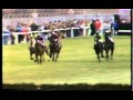 Horse racing 1986 captain morgan chase aintree kathies lad  badsworth boympg