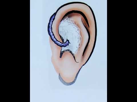 Shabbat Chapter 6 - Youtube