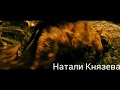 "Властелин колец" "The lord of the rings" "Хоббит" "The Hobbit" Faramir "Арена" Боромир Трандуил