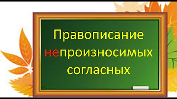 Русский язык. Правописание непроизносимых согласных. Видеоурок