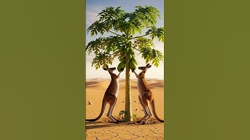 Kangaroo saved the papaya plant from drying up by watering it 😭 #ai #tree #save #watering