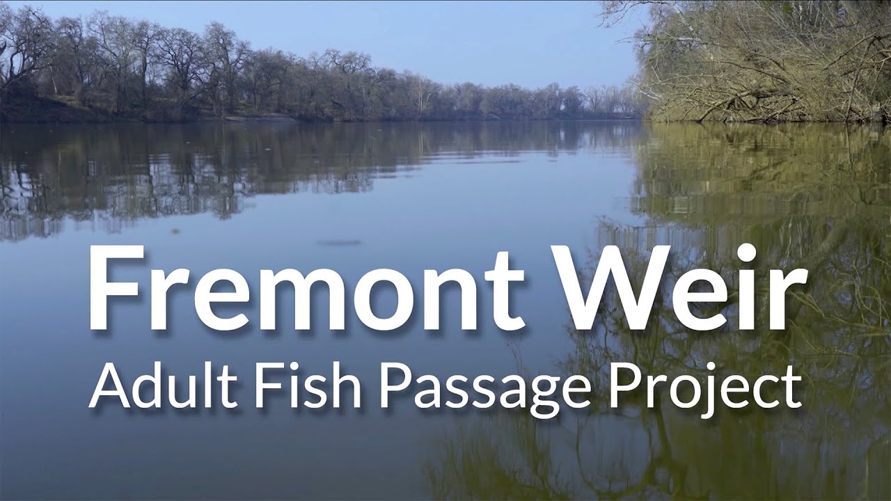 Fremont Weir Adult Fish Passage Project with Audio Description