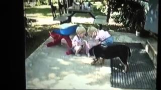 IMG 1426 1)