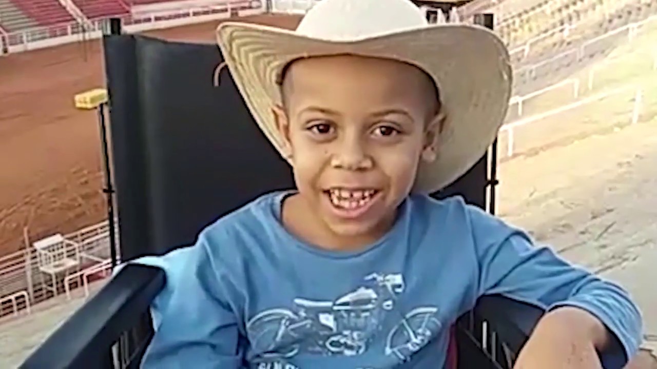 cavalos de raça Rafael Ribeiro (Branco) e Luquinhas - 