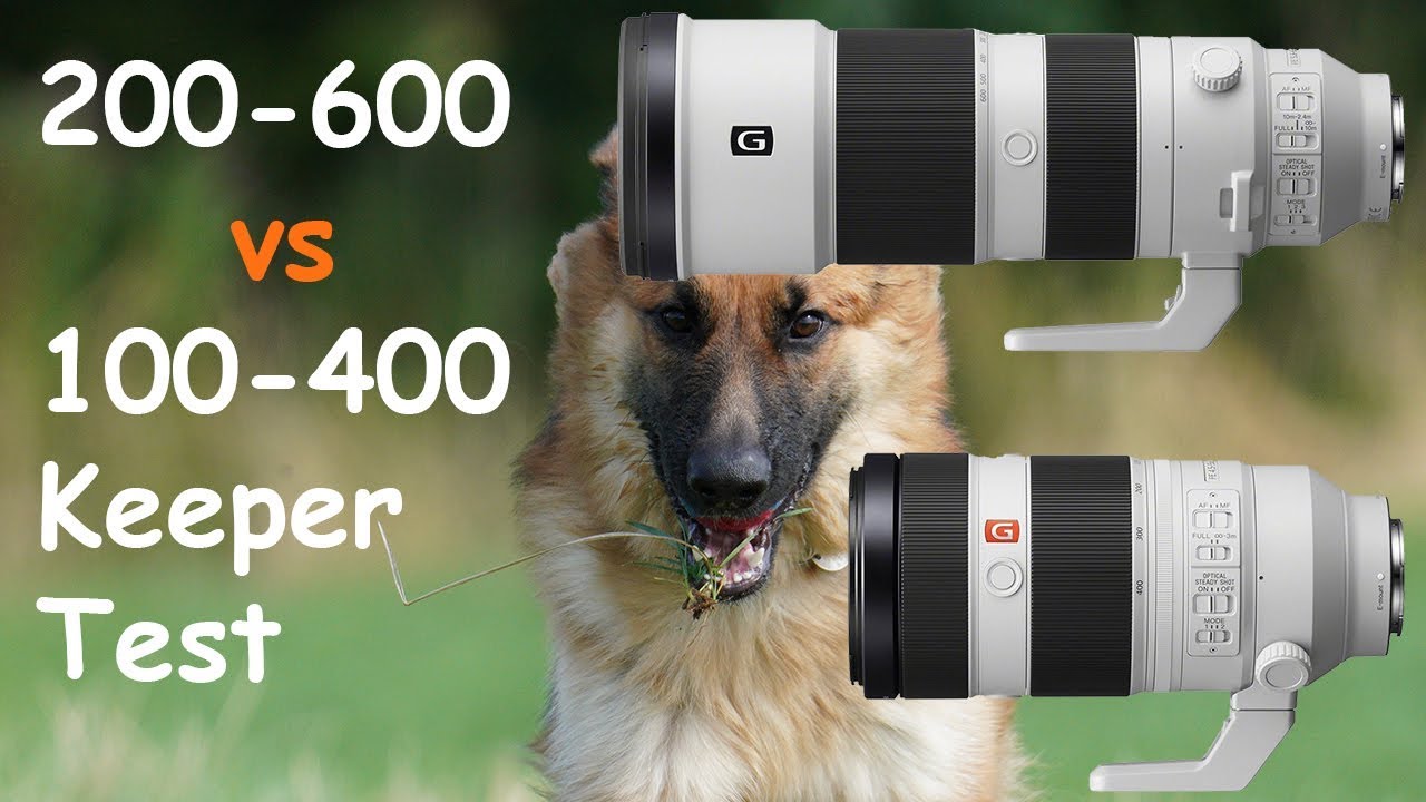 Sony 0 600 Vs 100 400 Comparison Review Alphashooters Com