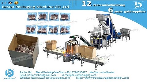 Date fruit fully automatic packing machine counting packing in bag & filling in carton