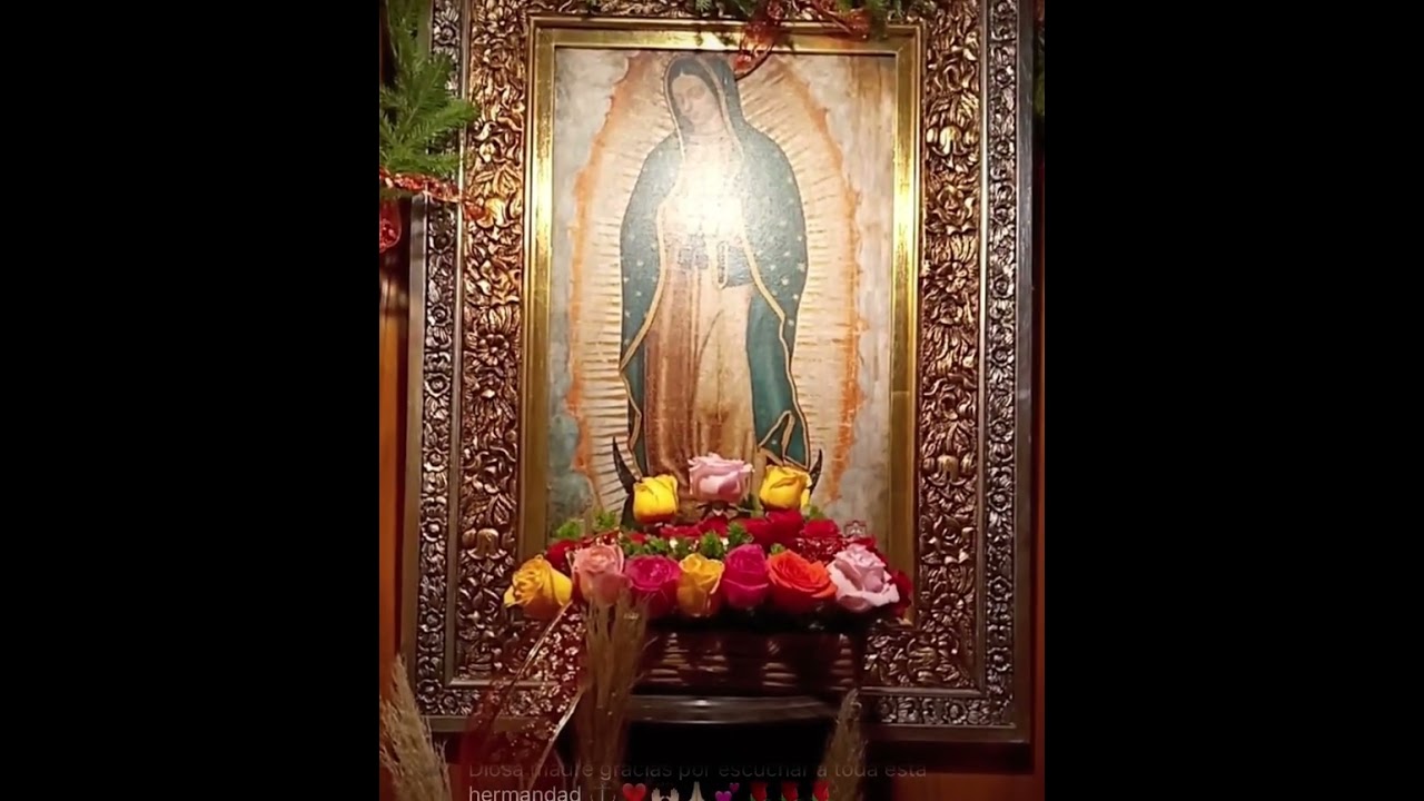 Corona de rosas 🌹 a nuestra madre María de Guadalupe 🙏🏻