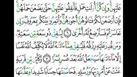 065 سورة الطلاق من الاية 6 إلى 9