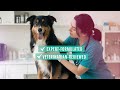 Dinovite Dental Chews for Dogs