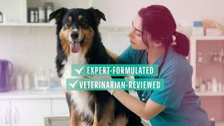 Dinovite Dental Chews for Dogs