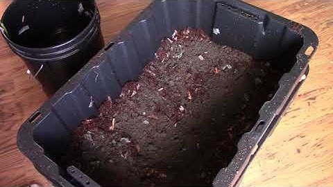 How-to  a DIY worm composting bin for your kitchen scraps for all your garden needs.