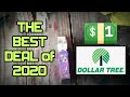 The BEST DEAL AT DOLLAR TREE in 2020 and 2021!