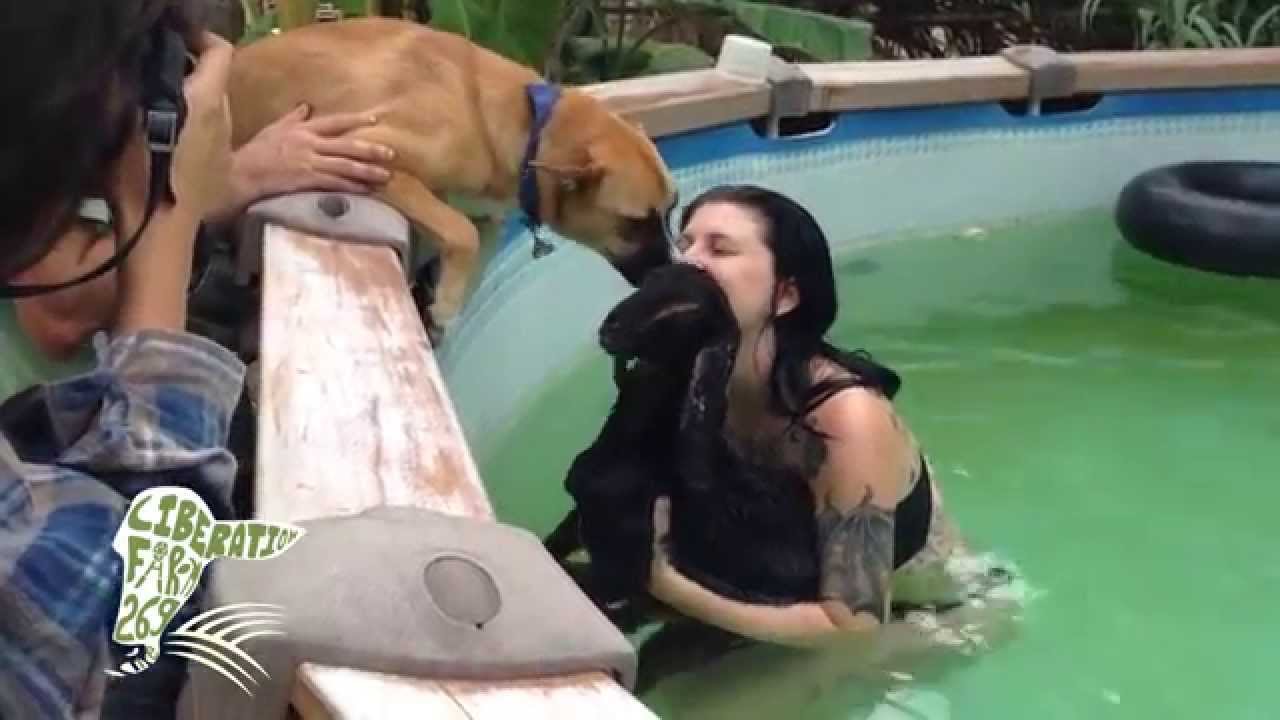 Butch's first hydrotherapy treatment