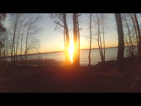 Шашлындос в Сестрорецке