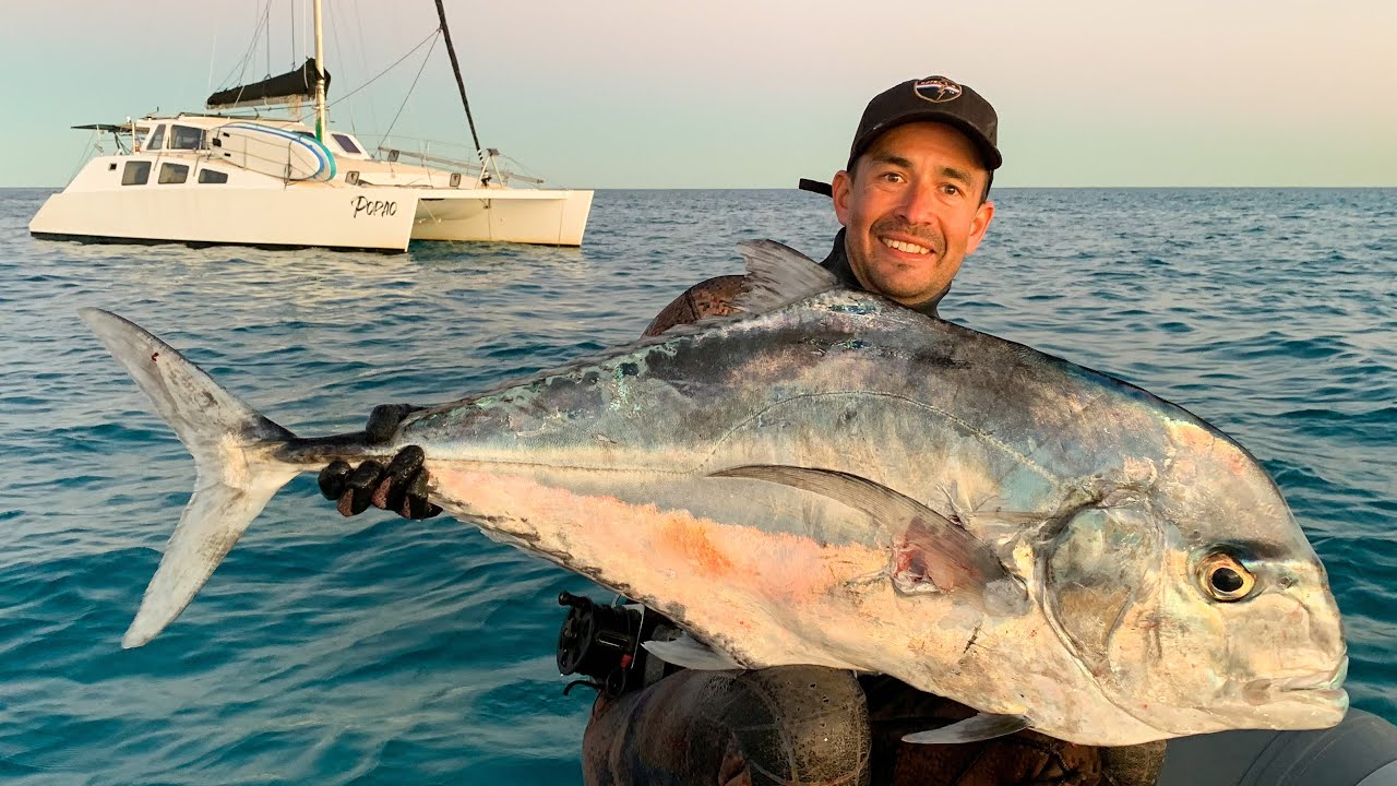 Spearfishing Dream fish on the Great Barrier Reef! (Sailing Popao) S2 Ep.17