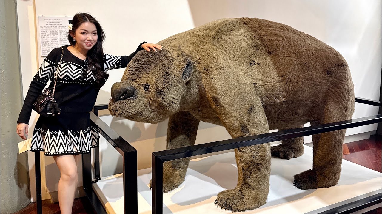 Tasmania Vlog ep 6 (Day 6 at Launceston Museum & Harvest Market) 🤍