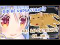 Pekora CONVINCED That Her Cat Understands EVERYTHING! 🤯🐱 | Hololive Clip