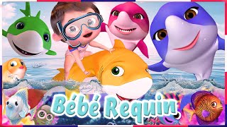 Bébé requin en français | La Dance du Baby Shark - Comptines pour bébé - Banana Cartoon LE Français