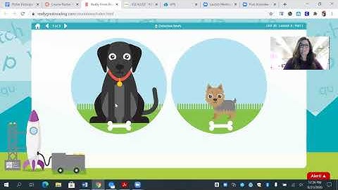 Countdown Unit 1, Lesson 3 with Ms. Potter