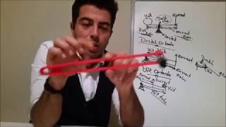 Download Basİt Makİneler; KaldiraÇlar Ve Genel Özellİklerİ Video MP3 Basİt Makİneler; KaldiraÇlar Ve Genel Özellİklerİ